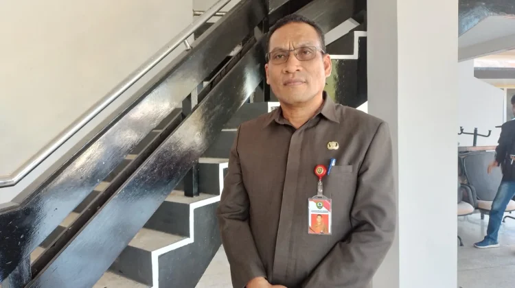Puskesmas di Malra Dorong Pasien Manfaatkan Mobile JKN