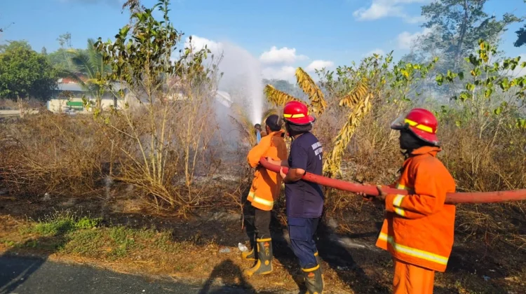 Terjadi Lagi Kebakaran di Malra, Warga Dihimbau Waspada
