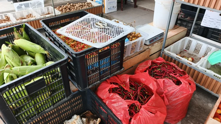 Harga Tomat Turun, Cabai Justru Melonjak di Pasaran