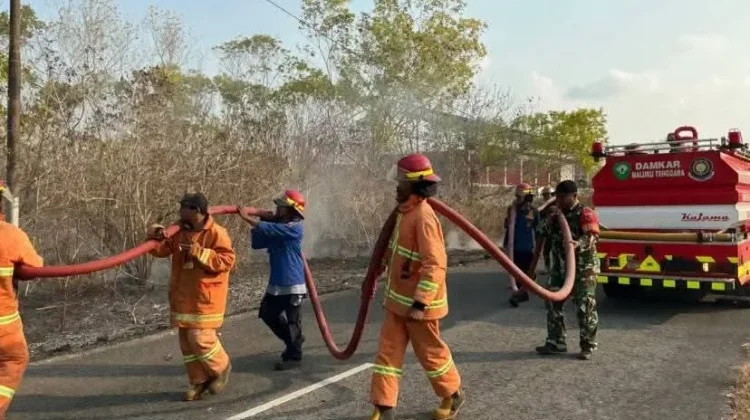 Kebakaran Lahan Kembali Terjadi Damkar Malra Respon Cepat Atasi