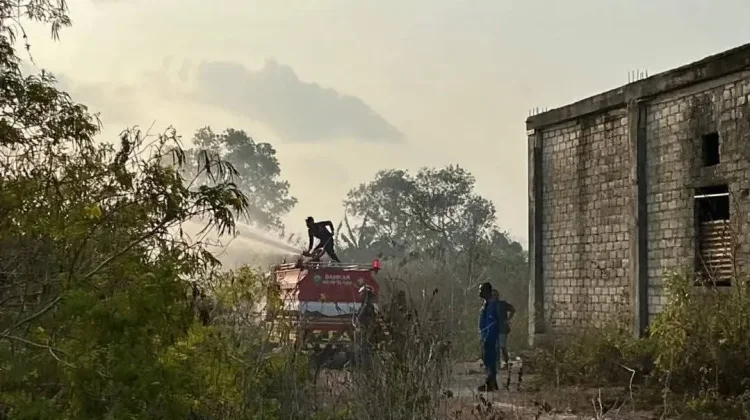 Kebakaran Lahan Kembali Terjadi Damkar Malra Respon Cepat Atasi