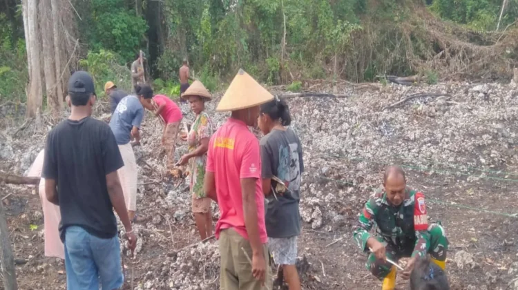 Babinsa Hadir di tengah Warga, Semangat Tanam Cabai Tak Surut meski Lahan Berbatu