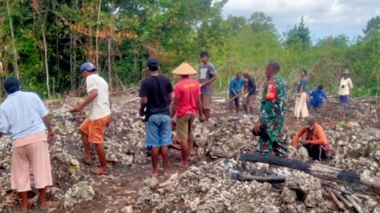 Babinsa Koramil 1503-01/Tual Bantu Warga Tanam Cabai di Lahan Berbatu