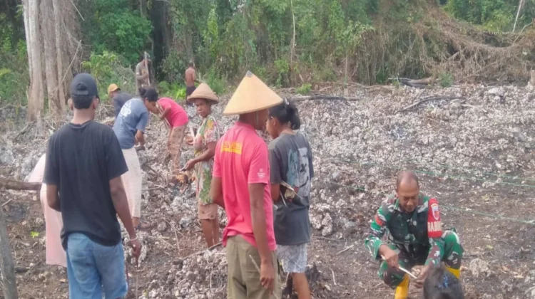 Babinsa Koramil 1503-01/Tual Bantu Warga Tanam Cabai di Lahan Berbatu