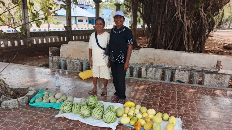 Kemarau Jadi Tantangan Petani Semangka dan Melon di Wunlah Kabupaten Tanimbar