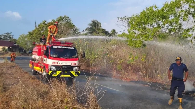 Damkar Malra Tangani 5 Titik Kebakaran, Warga Diminta Stop Bakar Lahan