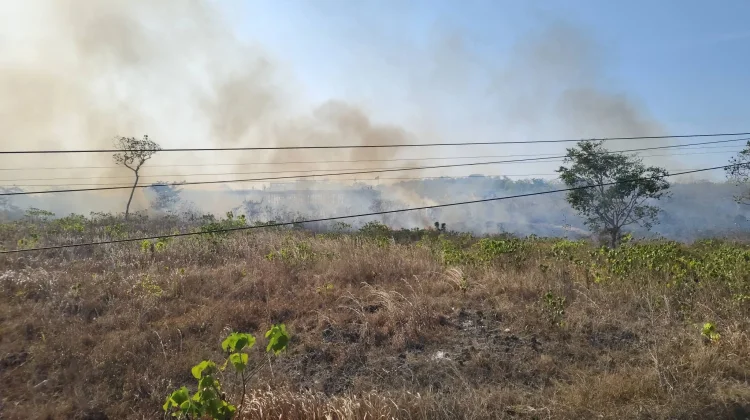 Kebakaran Lahan di Belakang Perumahan Polres Malra Dipadamkan 22 Menit