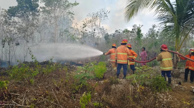 Manyeuw Darurat Karhutla, Sehari Dua Titik Dekat Permukiman Terbakar