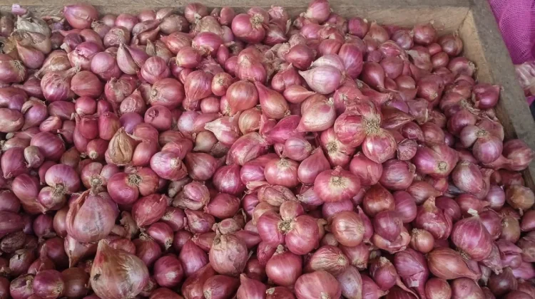Akhirnya Turun! Harga Bawang di Pasar Langgur Kembali Normal di Angka Rp.50 Ribu Per K