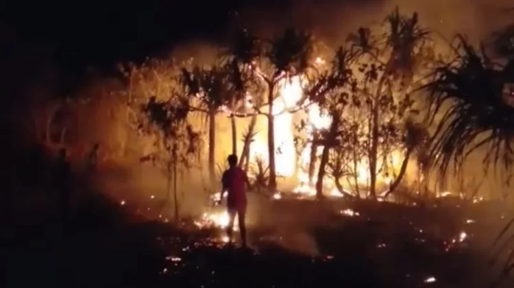 Rawan kebakaran hutan selama musim kemarau, warga desak peningkatan kewaspadaan.