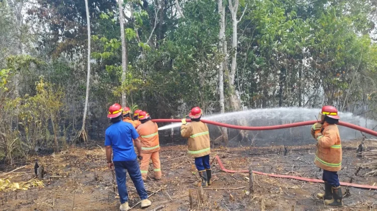 Damkar Malra Beraksi, Padamkan Dua Kebakaran Lahan Sehari di Ohoiluk