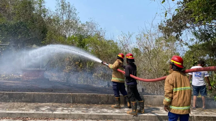 Sehari Tiga Kebakaran Lahan di Malra, Damkar Kerja Maraton dari Siang hingga Malam