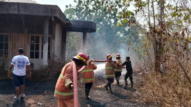 Sehari Tiga Kebakaran Lahan di Malra, Damkar Kerja Maraton dari Siang hingga Malam