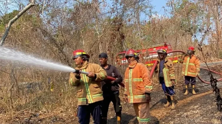 Sehari Tiga Kebakaran Lahan di Malra, Damkar Kerja Maraton dari Siang hingga Malam