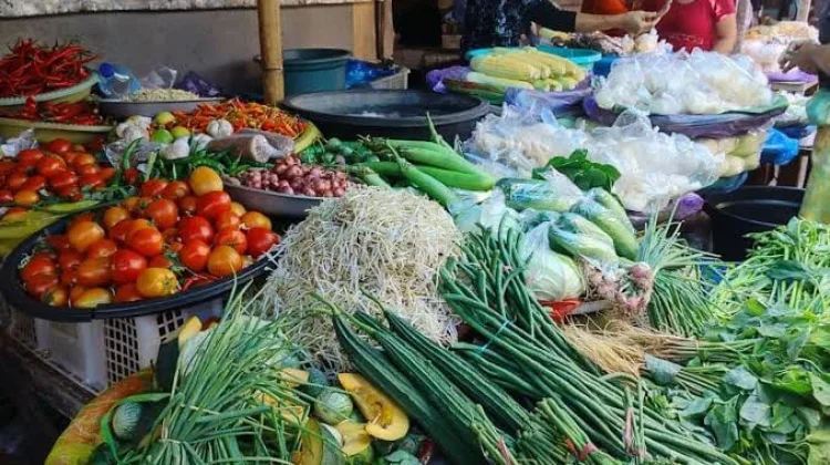Pedagang Sayur di Kota Tual Takut Gunakan Dana yang Bersumber dari Pinjol