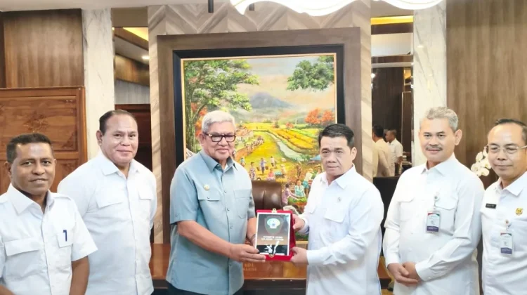 Audiensi Bupati Malra dengan Wamendes PDT Ahmad Riza Patria Bahas Pembangunan Des