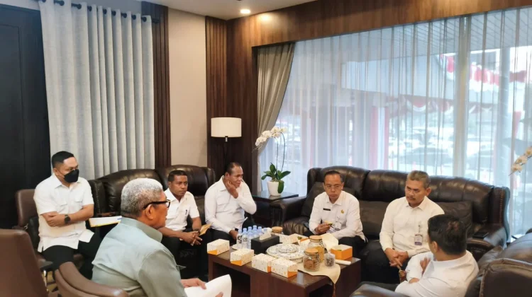 Audiensi Bupati Malra dengan Wamendes PDT Ahmad Riza Patria Bahas Pembangunan Des