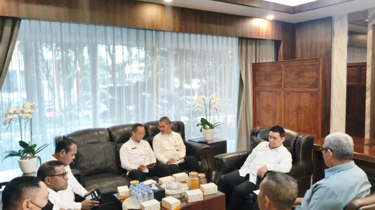 Audiensi Bupati Malra dengan Wamendes PDT Ahmad Riza Patria Bahas Pembangunan Des