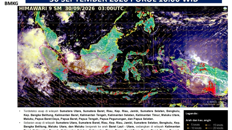 Kabut Asap Diduga Karhutla di Papua Menyebar hingga Kepulauan Aru