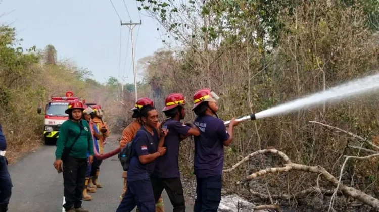 Kebakaran di Jalan menuju Pantai Ngiarwarat, Damkar Malra Behasil Padamkan Api