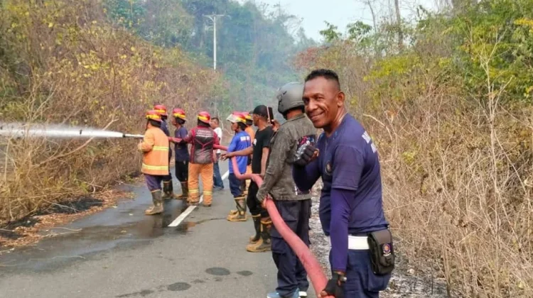Kebakaran di Jalan menuju Pantai Ngiarwarat, Damkar Malra Behasil Padamkan Api