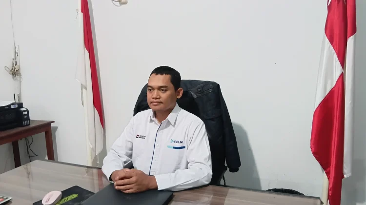 Pelni Siapkan Alternatif Keselamatan Penumpang Selama Gangway Permanen Belum Te