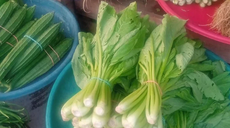 Harga Sayur Mayur di Pasar Langgur Masih Stabil, Pedagang Akui Masih Untung