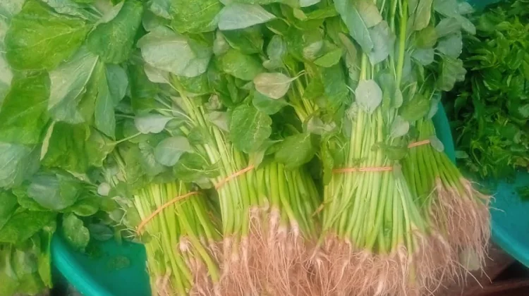 Harga Sayur Mayur di Pasar Langgur Masih Stabil, Pedagang Akui Masih Untung