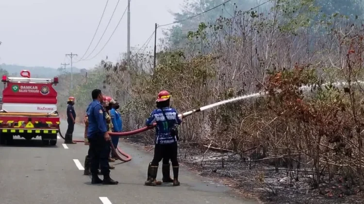 Sehari Tiga Kali Kebakaran, Damkar Malra Bergerak Cepat