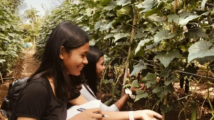 meski Lelah Mengajar, Guru di Malra Tetap Fokus Bawa Siswa Belajar di Luar Sekolah