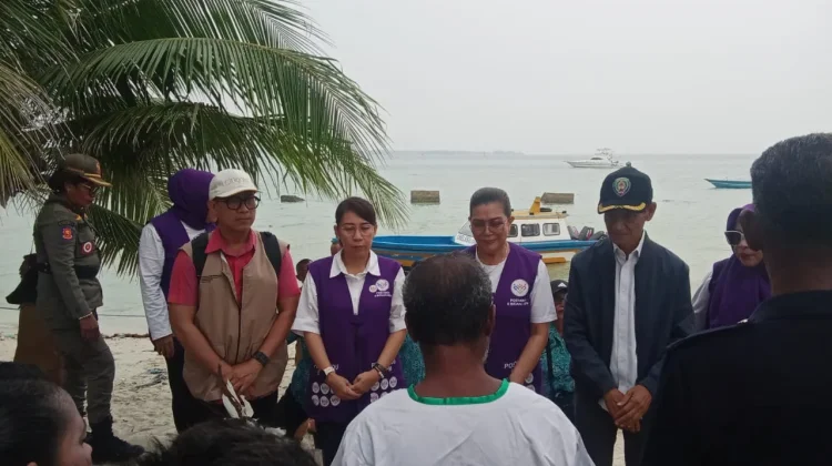 Ketua TP Posyandu Maluku Tinjau Pelaksanaan Posyandu 6 SPM di Desa Wokam