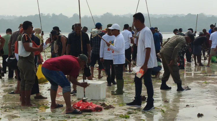 Panen Ikan Teluk Taar Berpotensi Dikembangkan Jadi Event Wisata - RRI.co.id