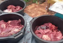 Pemerintah Tidak Beri Patokan pada Harga Daging