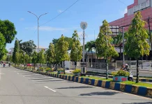 Inovasi DLH Malra Percantik Ruang Terbuka Kota Langgur