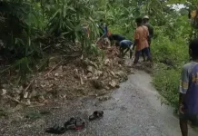 BPBD Gerak Cepat Respon Bencana Alam Kei Besar