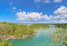 Pesona Yer Taran Ratut: "Raja Ampat Mini" di Maluku Tenggara