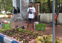 Buah Alpukat Tinggi Peminat di Bulan Ramadhan