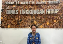 DLH Maluku Tenggara Jadikan Lantana Primadona Estetika Kota