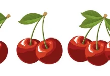 Daun kersen, solusi mengatasi gula darah dan kolesterol