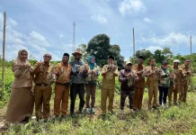 Pengendalian Inflasi, Pemkot Tual BudiDaya Bawang Merah
