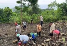 Dukung Asta Cita, Polsek KBS Pupuk Tanaman Jagung