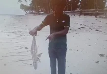 Bangkai Ikan Cemari Pantai, Warga Minta Pertanggungjawaban Pabrik