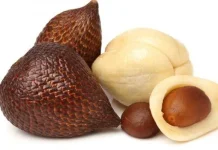 Buah Salak, Manfaat pada Kesehatan Tubuh