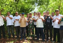 Rencana Pembangunan Batalyon Yonif TP 914 Teritorial Kota Tual