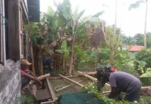 Karya Bakti Babinsa Koramil 1503-03/Dobo Bangun Rumah Warga