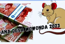DD Wowonda Terindikasi Raib Dihabiskan Fiktif tanpa Jejak