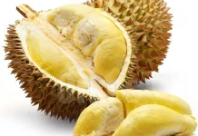 Durian dan Manfaatnya, Siapa yang Belum Tahu?
