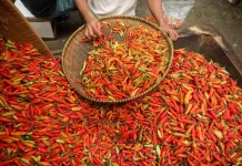 Harga Sembako Melonjak, Pasokan di Dobo Masih Terhambat