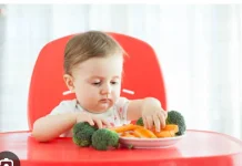 Panduan Nutrisi Bayi 9 Bulan