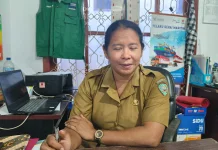 Harga Kebutuhan Pokok di Pasar Langgur Stabil, Cabai Rawit Tembus Rp250 Ribu